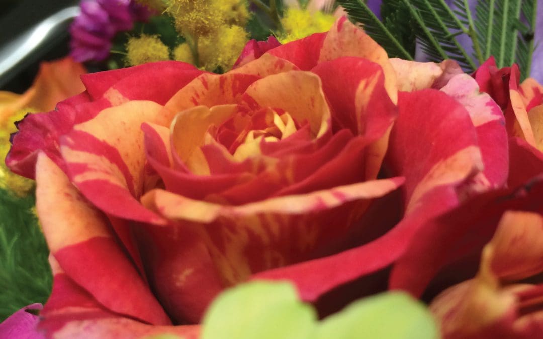 Altar Flowers – December 13