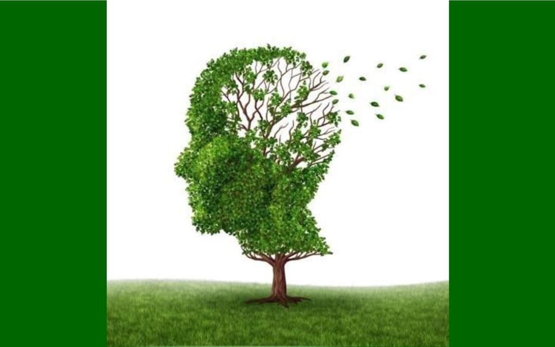 Speaker Series: Alzheimer’s Presentation