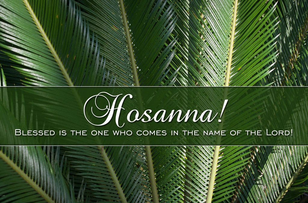 Palm Sunday 2016