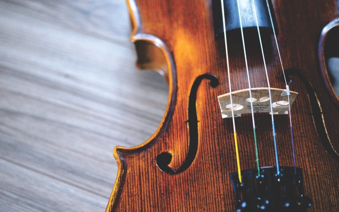 Suzuki Violin Lessons