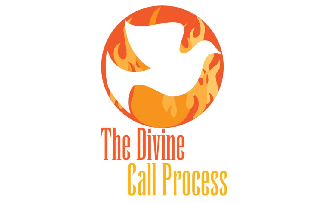 Senior Pastor Call Committee August 24 Update