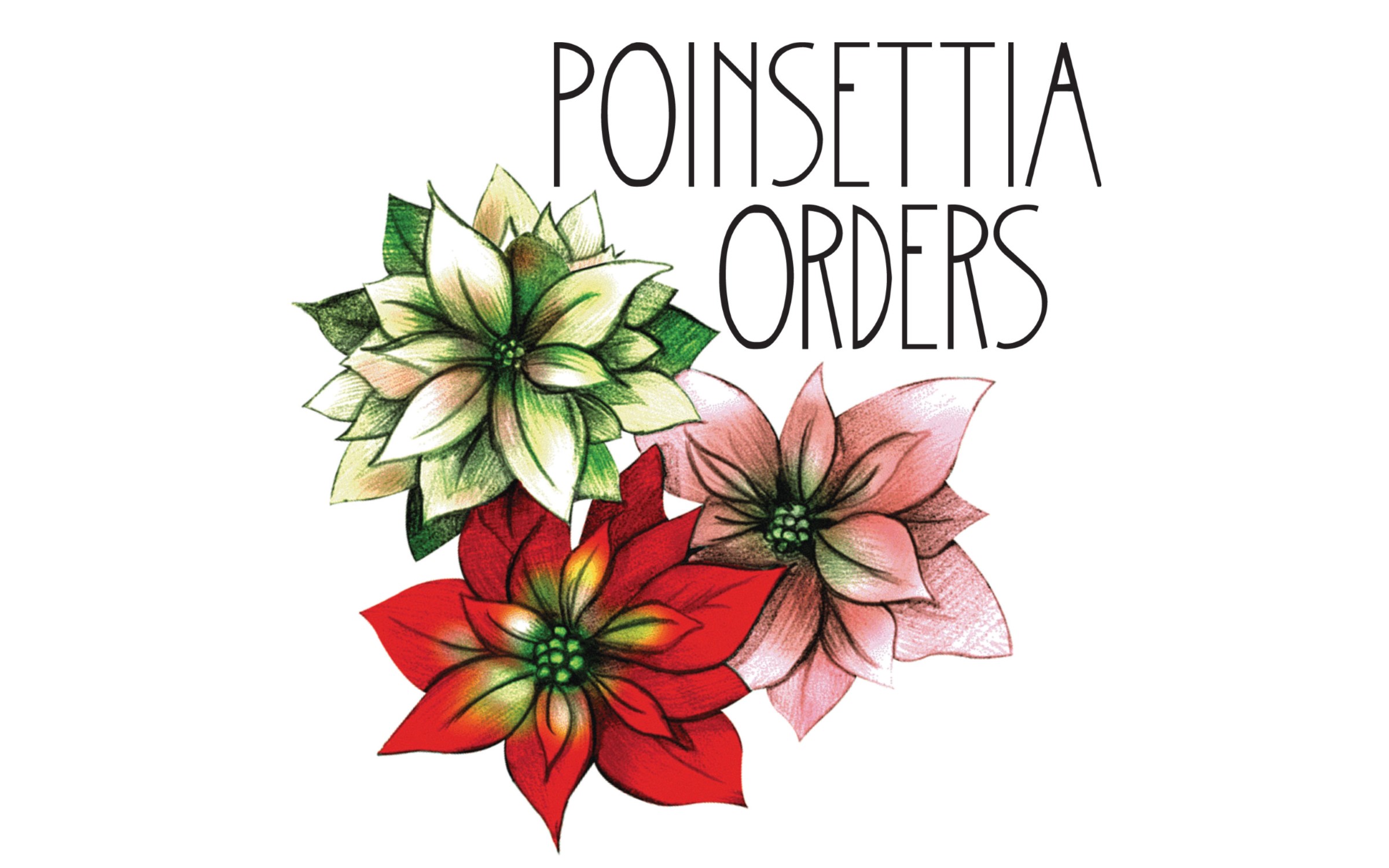 Poinsettia Orders