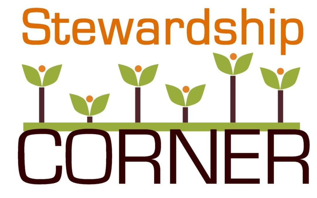 2016 Tax Year Deductible Gifts Deadline – Saturday December 31