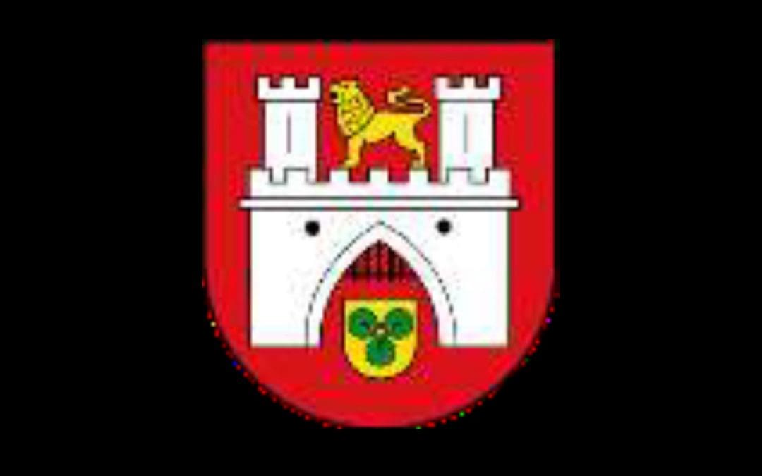 German Film Festival Series