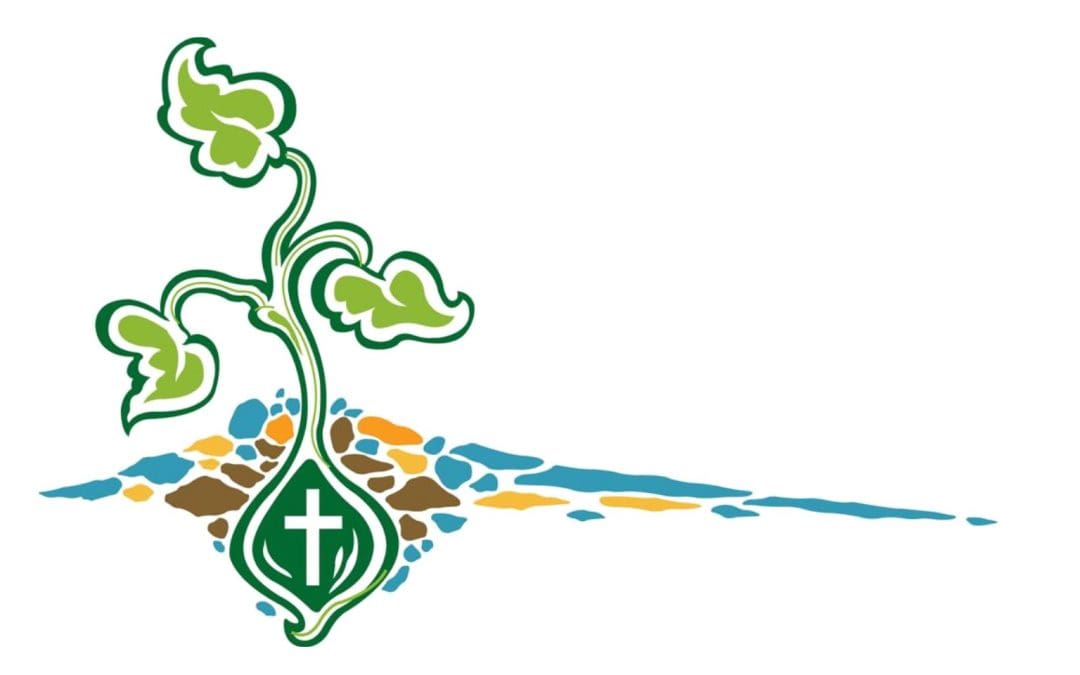 Intentional Disciple Formation