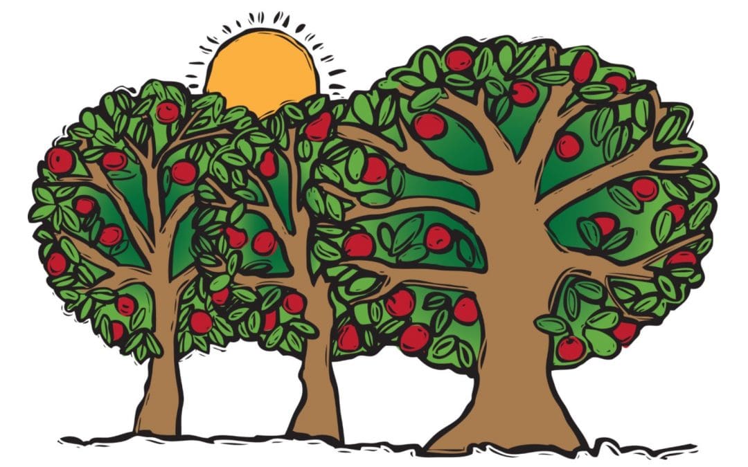 MLM Orchard Work Day – April 22