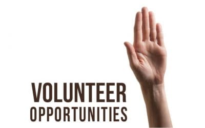 Two Volunteer Opportunities