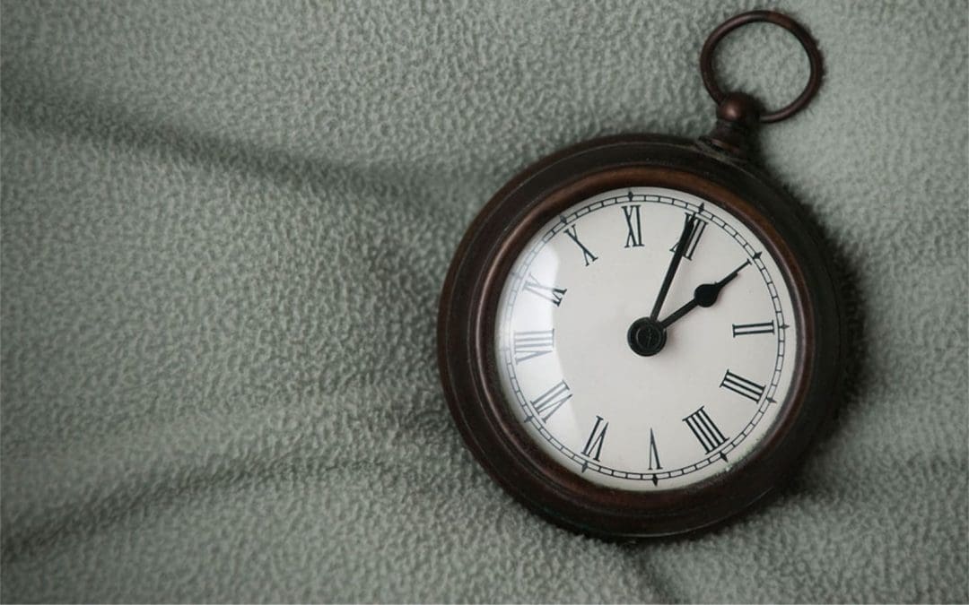 The Living Time Capsule – Seeking Ideas