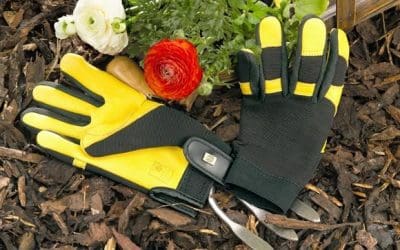 Youth and Family Serve Day for MLM – Oct. 7