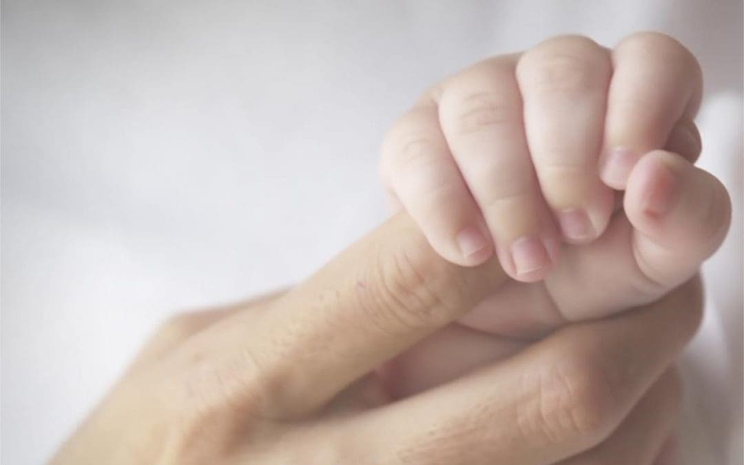 Seeking Childcare Provider