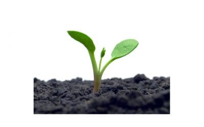 It’s the Little Things That Matter