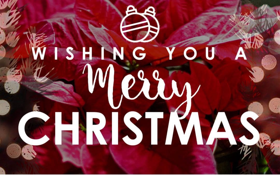 Merry Christmas from the Trinity Staff!