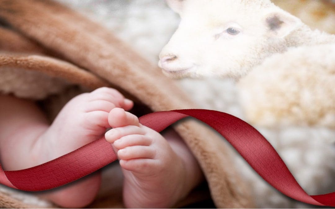 Weekend Worship Schedule