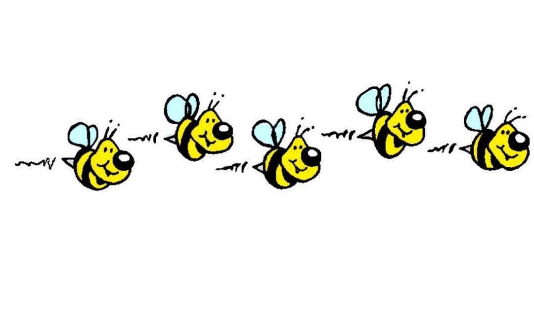 Older Adults Are Busy Bees!