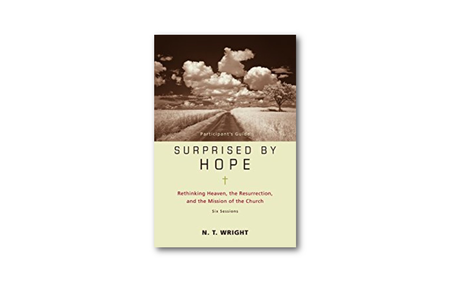 Surprised by Hope