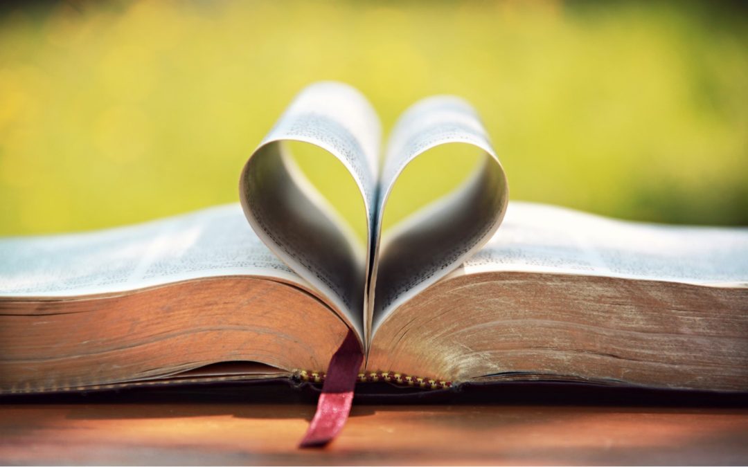 Bible Studies, Groups, and Experiences for Adults