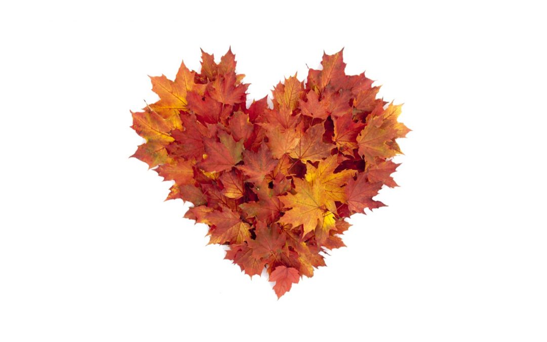 Fall Season for Children, Youth, and Families