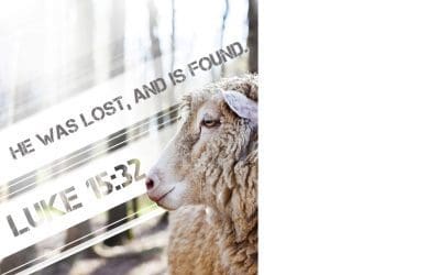 Faith Family Reunion: Coping with Prodigals