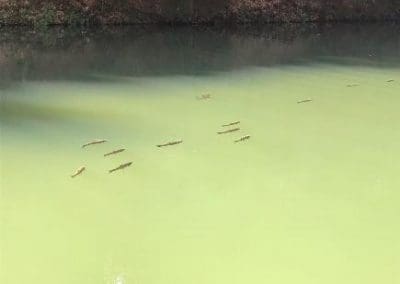 Some beautiful lakes!