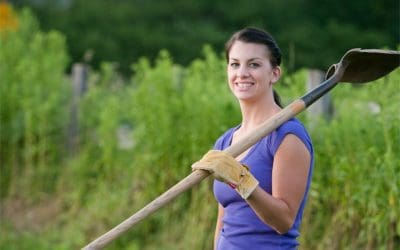 Community Garden Lunch and Meeting