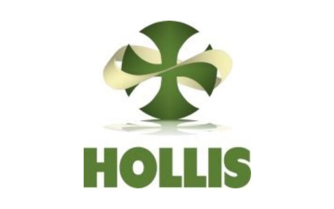 Hollis Renewal Center Summer Events