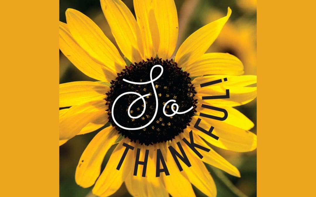 Thank You to Children and Youth Ministry Volunteers!