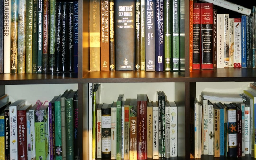 Exciting Changes to Bookstore