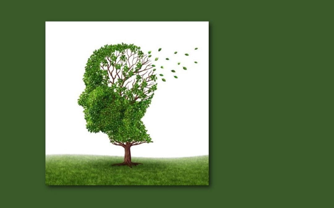 Alzheimer’s and Dementia Presentation and Discussion