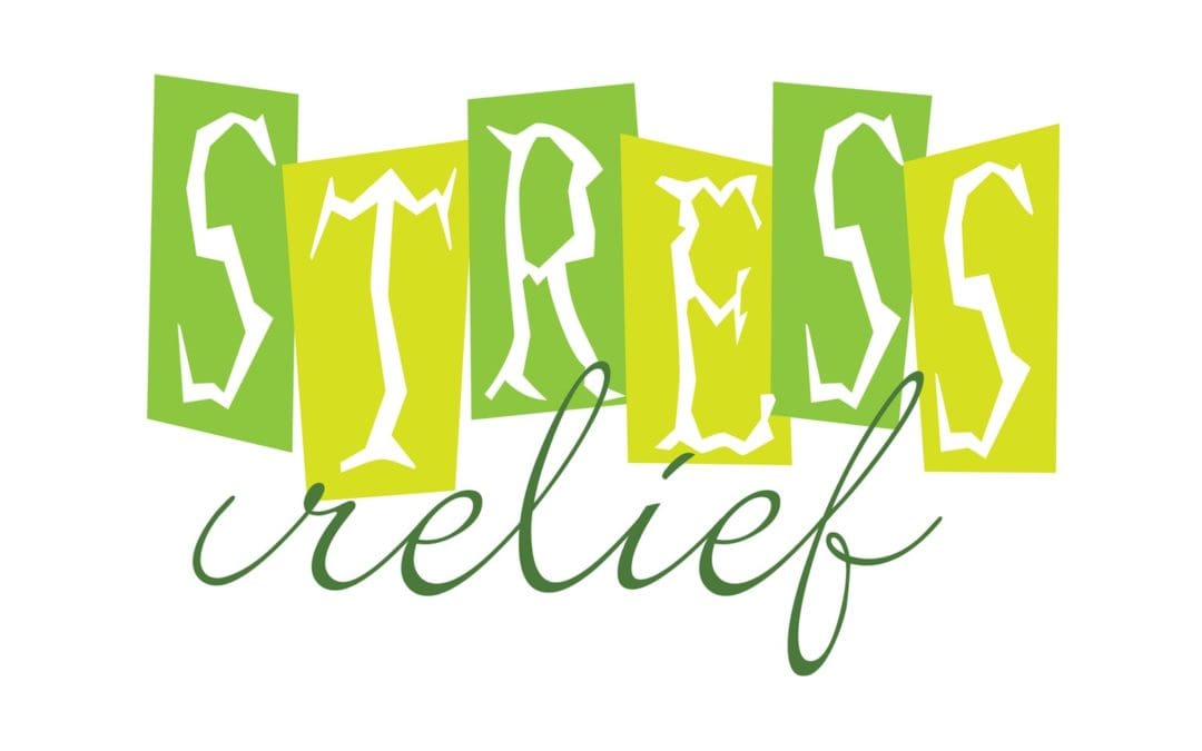 Stressed Out! Bible Study