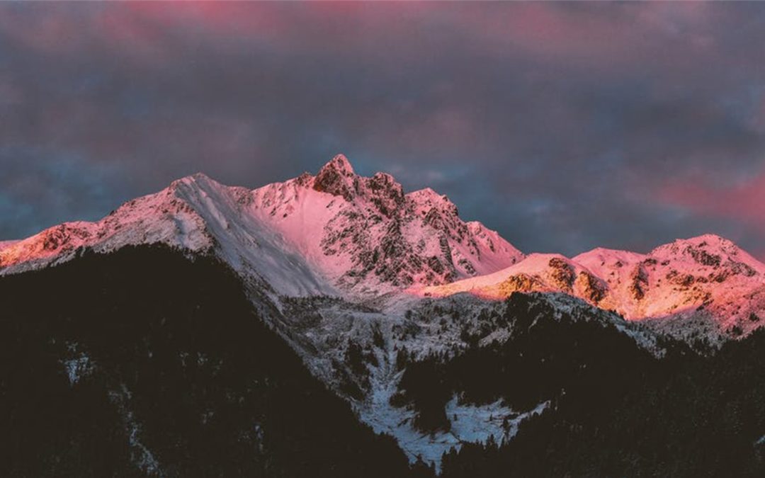 Peaks, False Peaks, and COVID-19