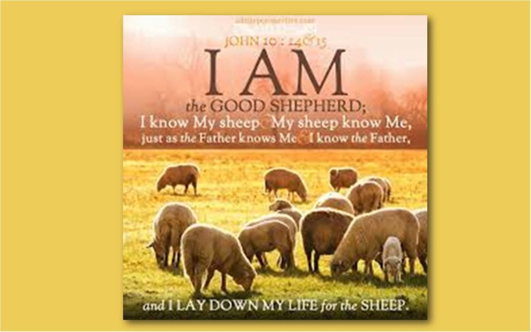 Encouragement for Families – May 8