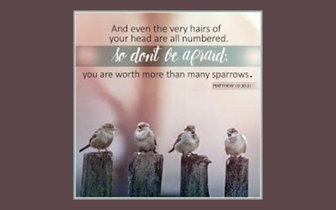 Encouragement for Families – June 19