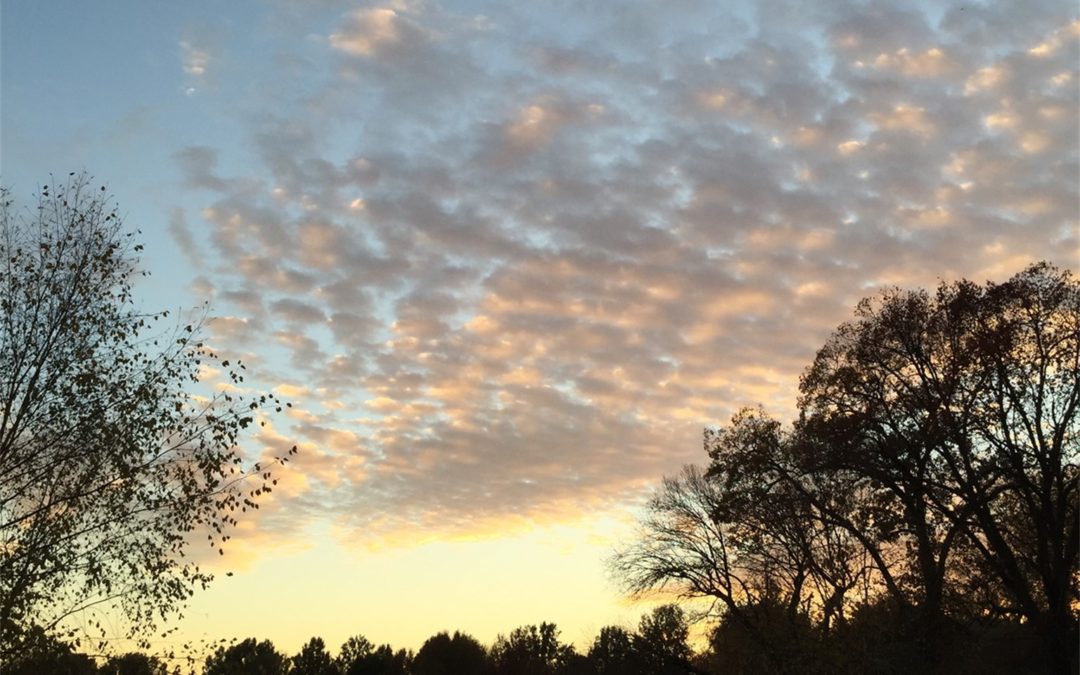 A Hot Summer Approaches