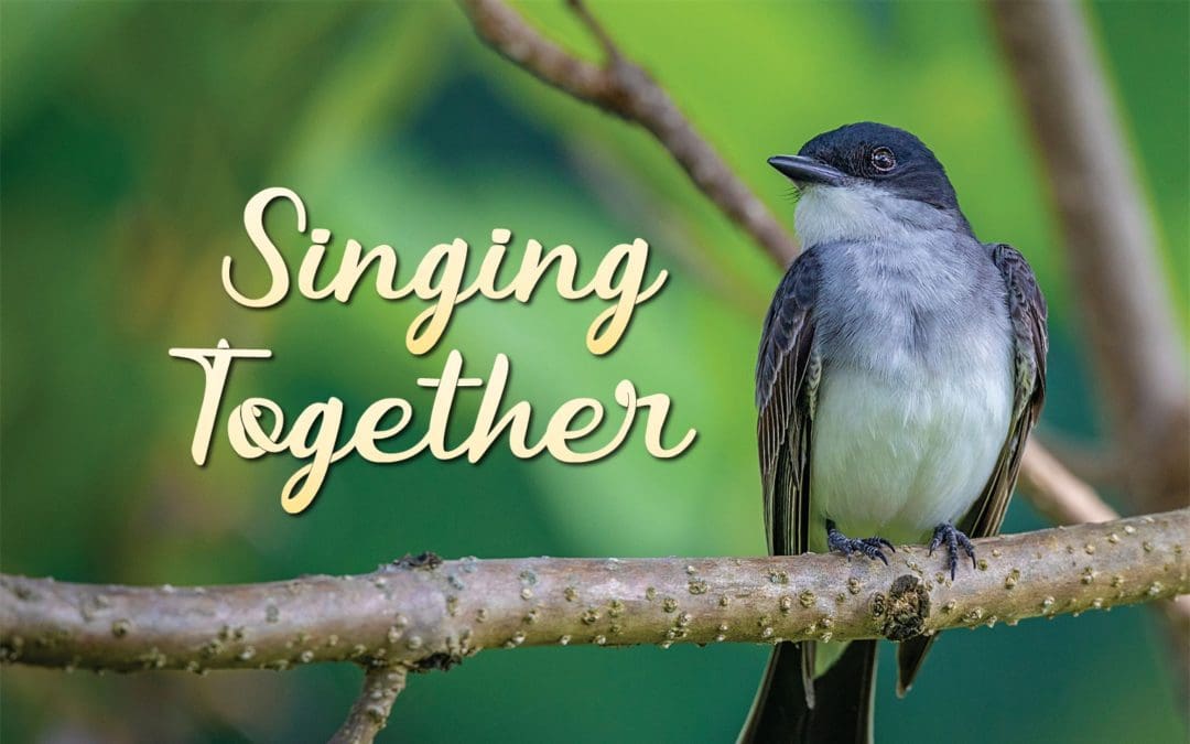 An Update on “Singing Together”