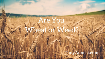 Encouragement for Families – July 17