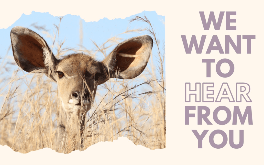 We Want to Hear from You