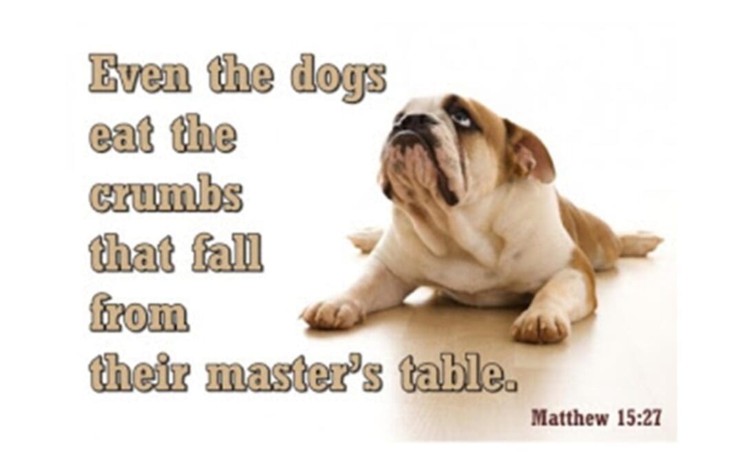 Encouragement for Families – August 14