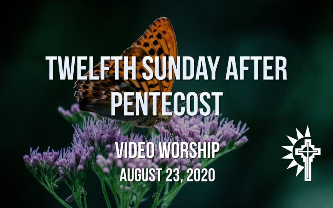 Sunday Worship – August 23
