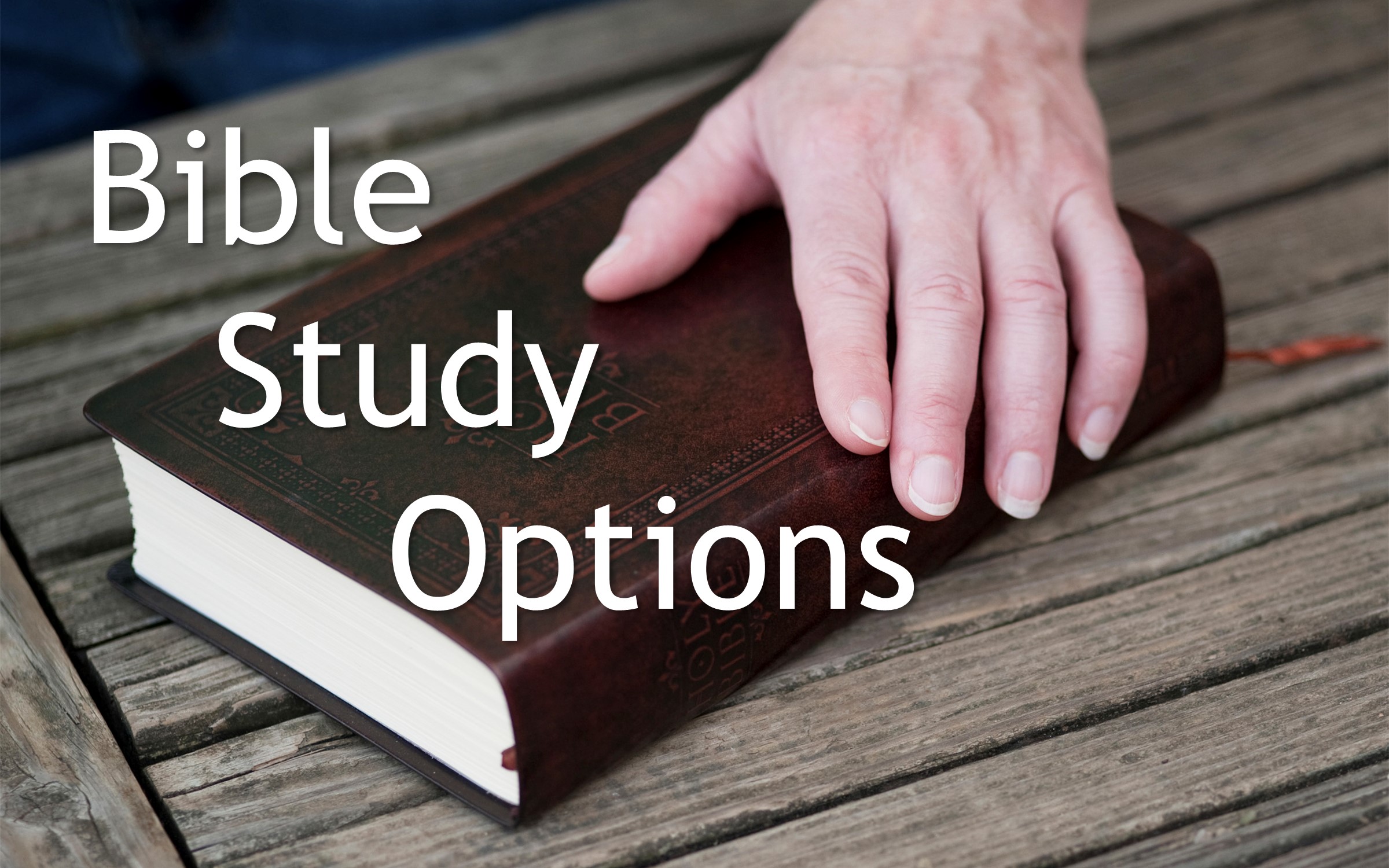 Bible Study Options