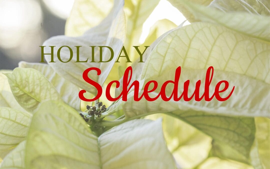 Youth and Sunday School Schedule