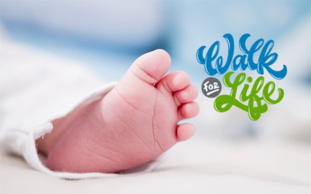 The Advice and Aid Pregnancy Center 2021 Walk for Life