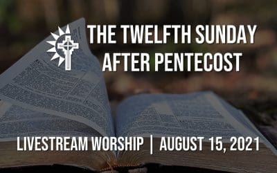 Sunday Worship – August 15