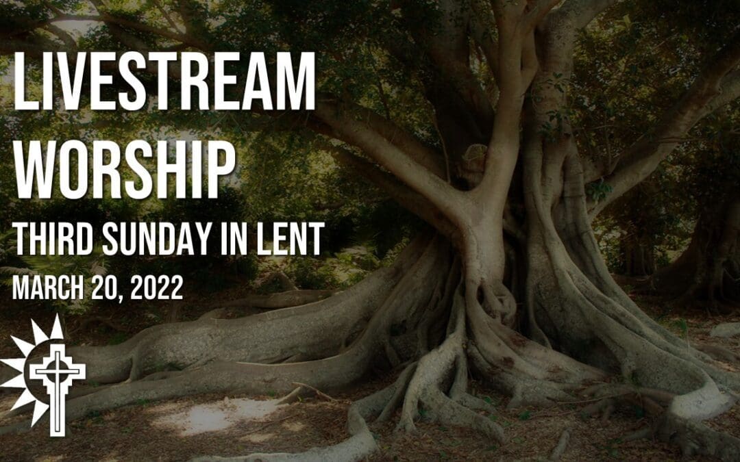 Sunday Worship – March 20
