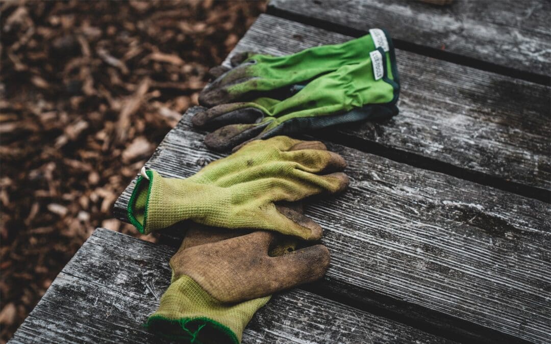 Mission Campus Work Day April 2