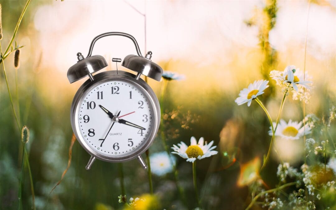 Daylight Savings Time Begins!