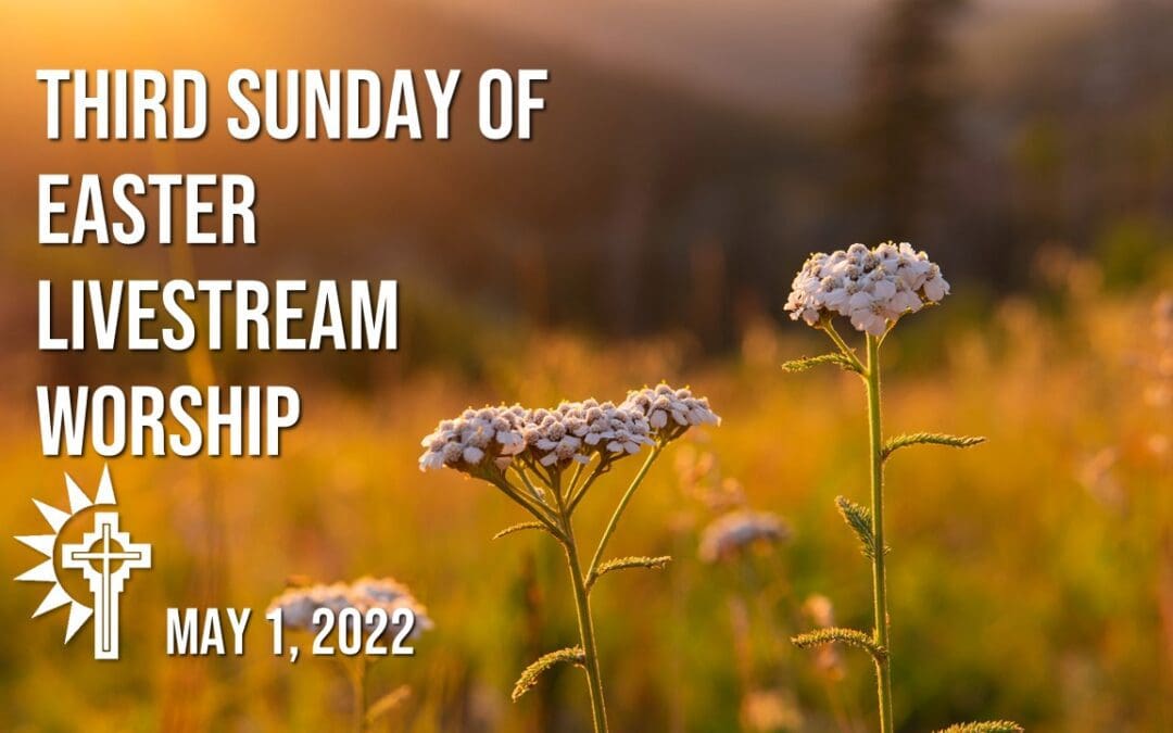 Sunday Worship – May 1