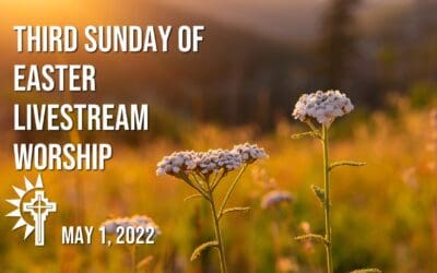 Sunday Worship – May 1