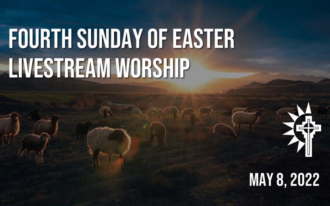 Sunday Worship – May 8