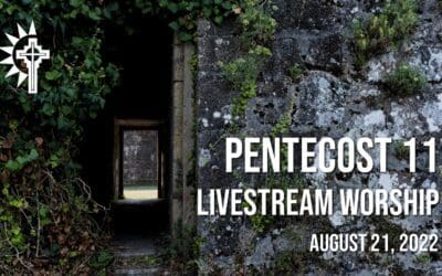 Sunday Worship – August 21