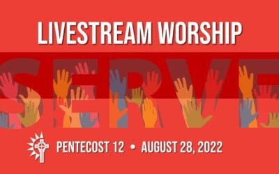 Sunday Worship – August 28